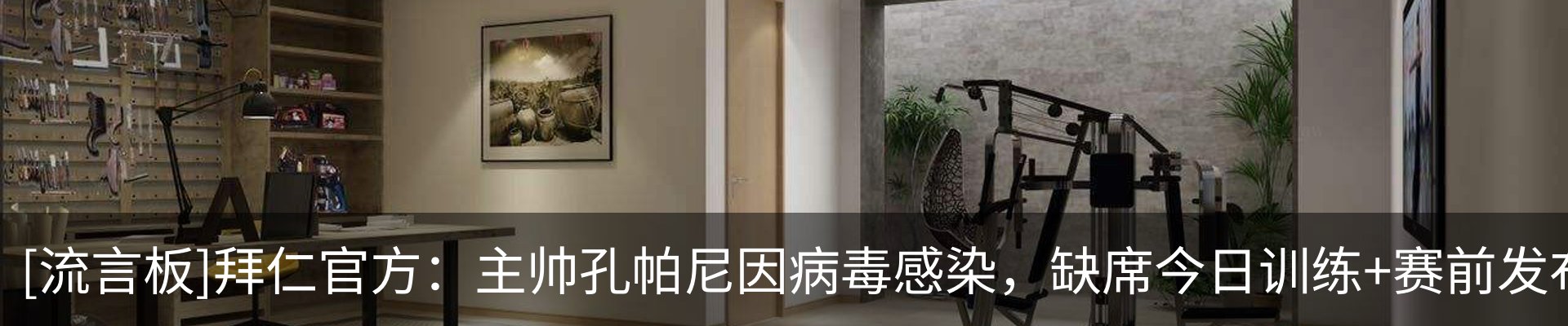 最新动态